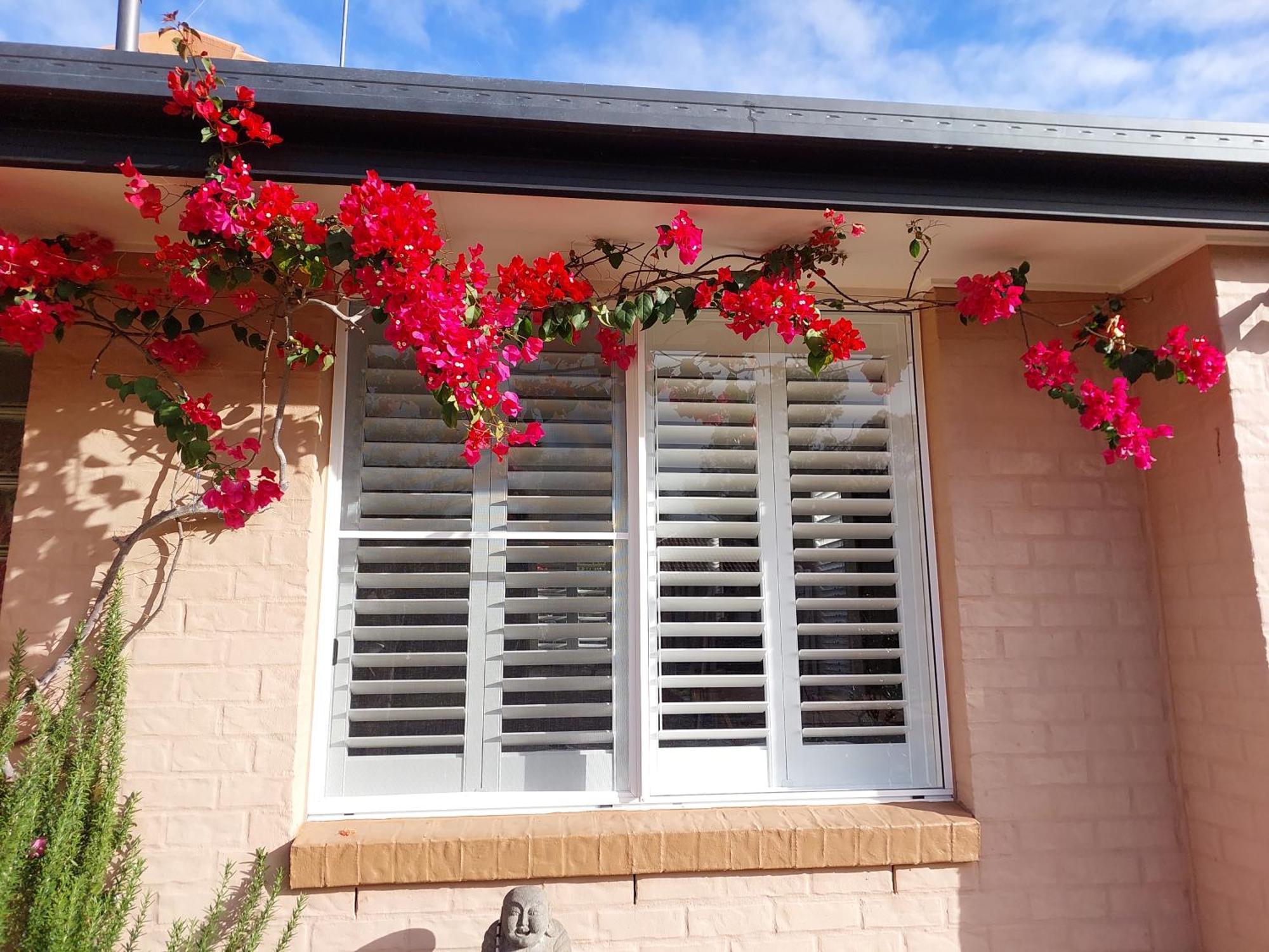 Summerhouses Noosaville Extérieur photo